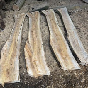 Wych Elm Planks — 25 × 200 × 1400mm