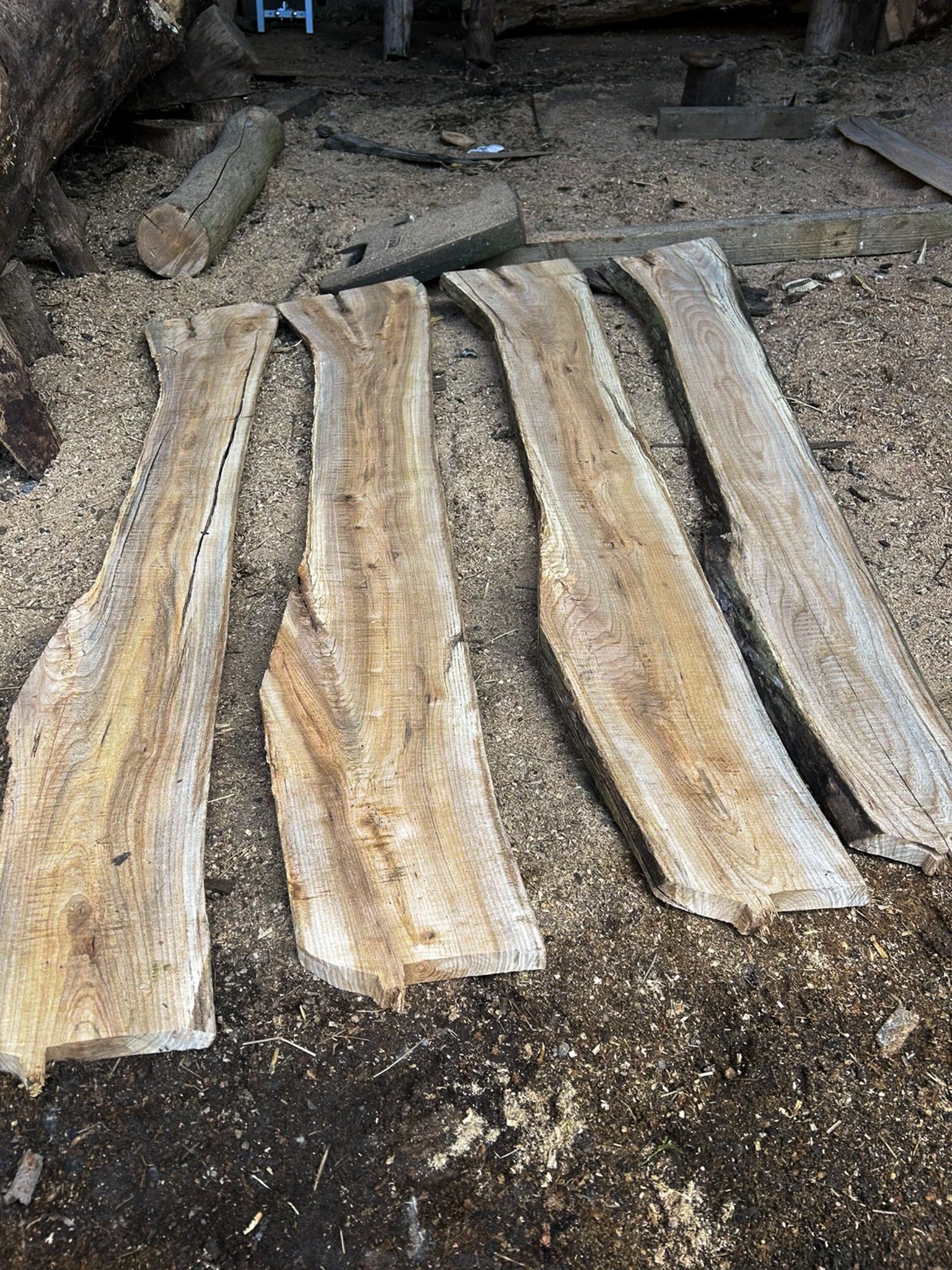 Wych Elm Planks — 25 × 200 × 1400mm