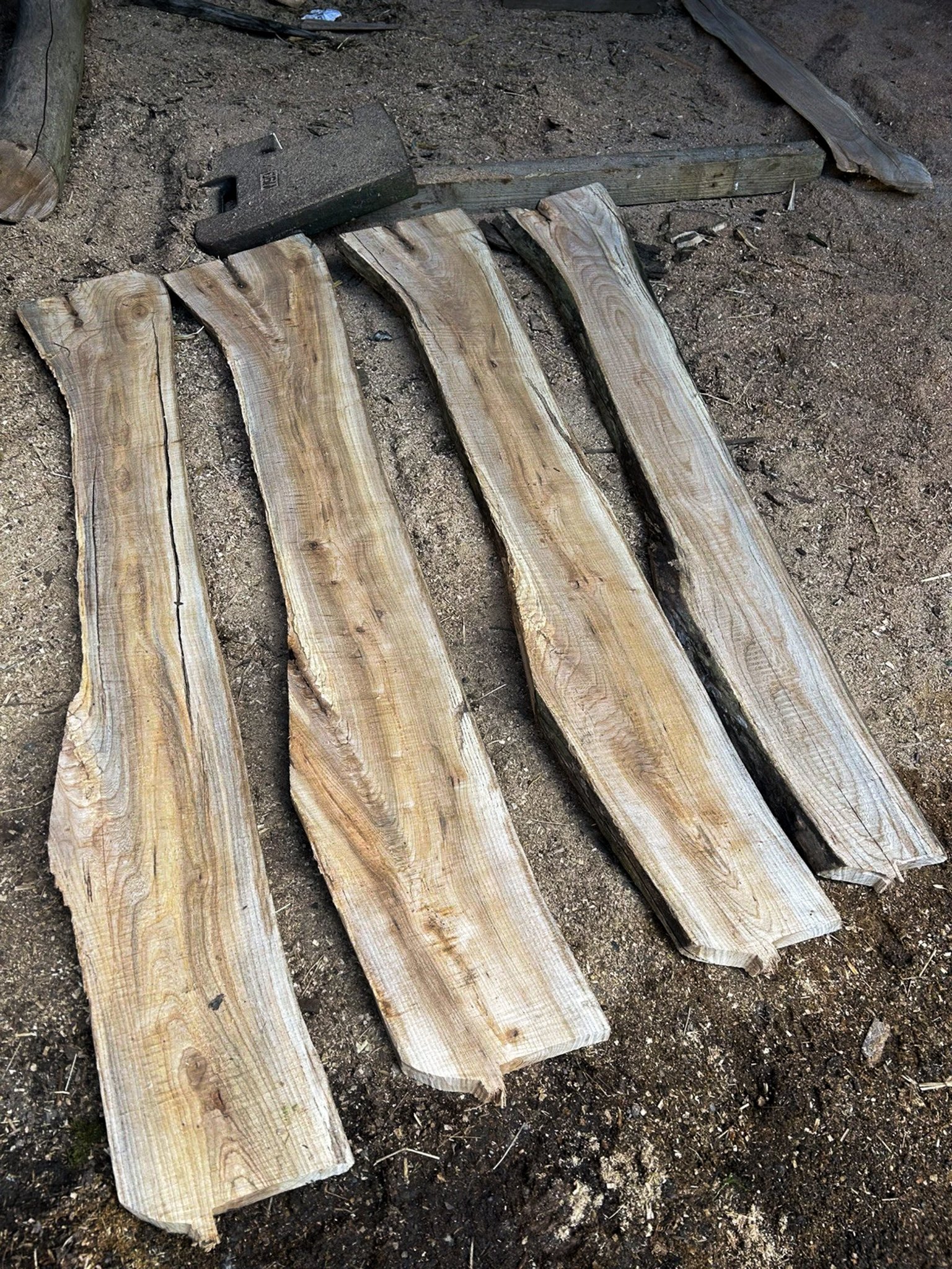 Wych Elm Planks — 25 × 200 × 1400mm - Image 2