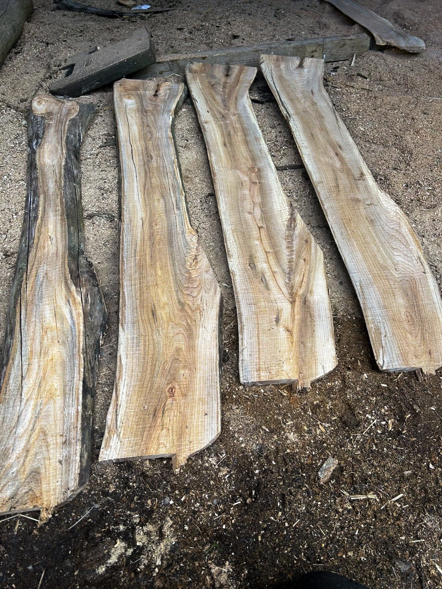 Wych Elm Planks — 25 × 200 × 1400mm - Image 3