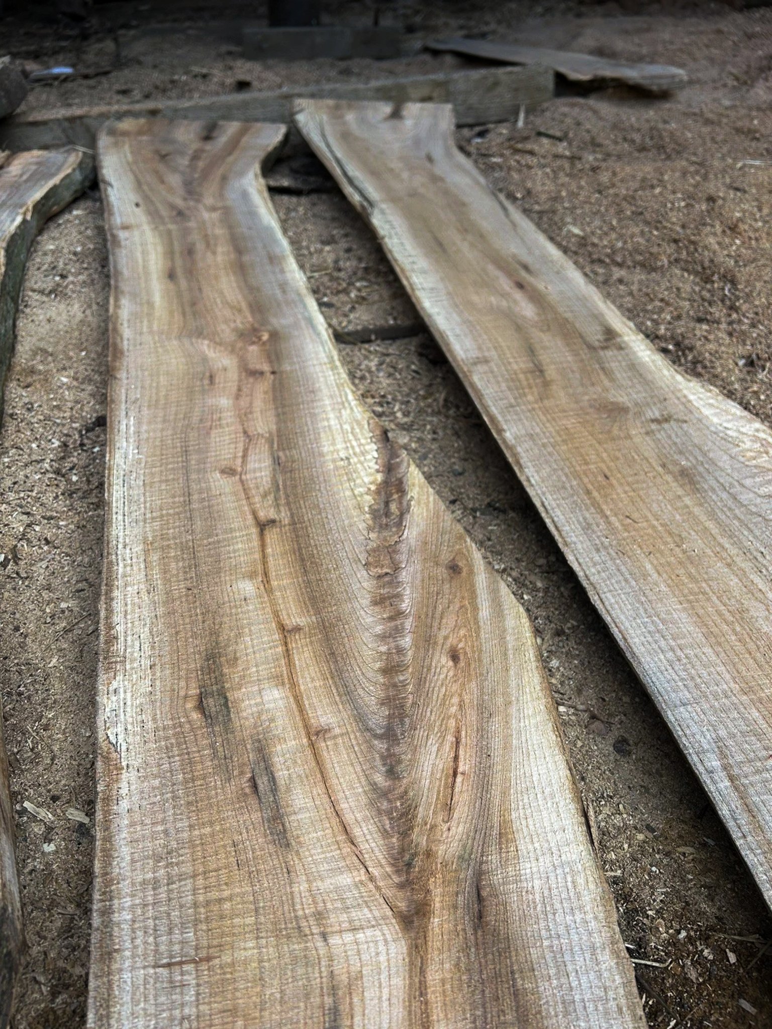 Wych Elm Planks — 25 × 200 × 1400mm - Image 4