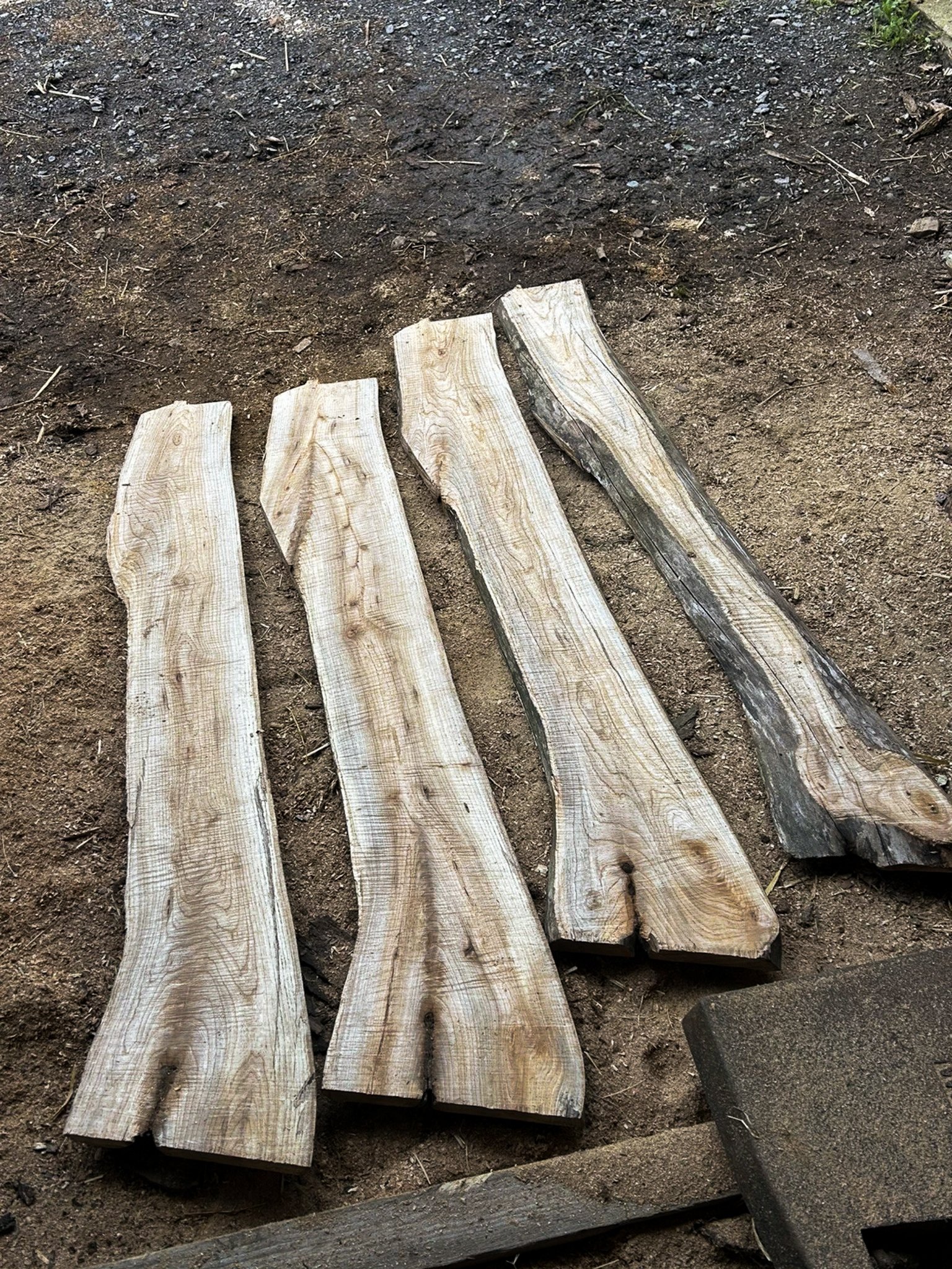 Wych Elm Planks — 25 × 200 × 1400mm - Image 5