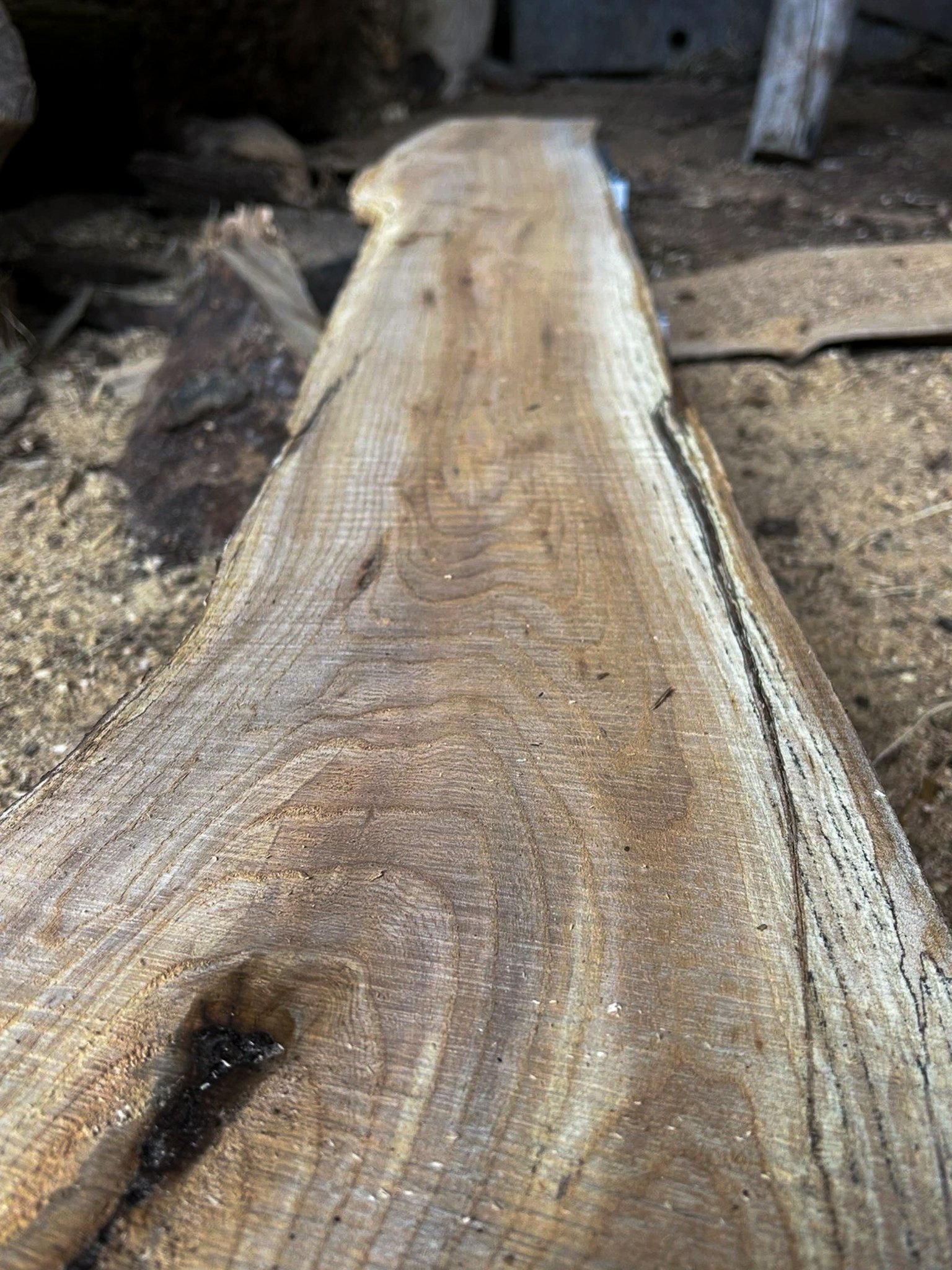Wych Elm Planks — 25 × 200 × 1400mm - Image 6