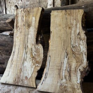 Spalted Silver Birch Boards — 35 × 300–400 × 740mm