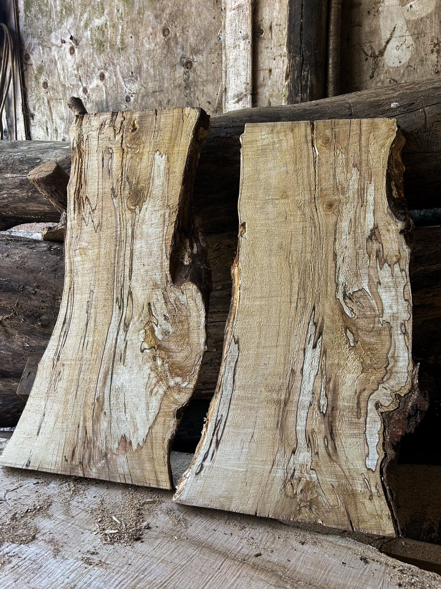 Spalted Silver Birch Boards — 35 × 300–400 × 740mm