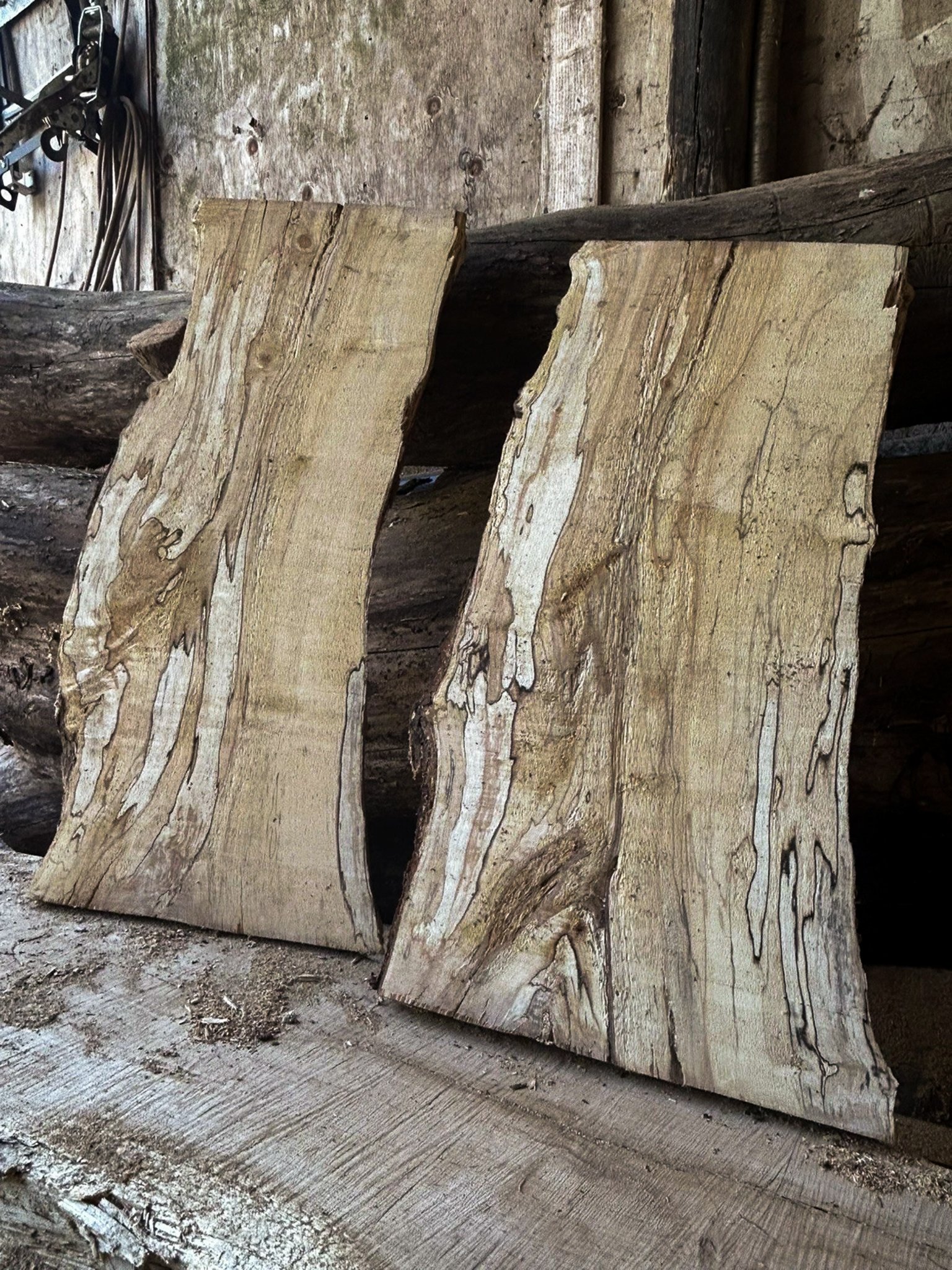 Spalted Silver Birch Boards — 35 × 300–400 × 740mm - Image 2