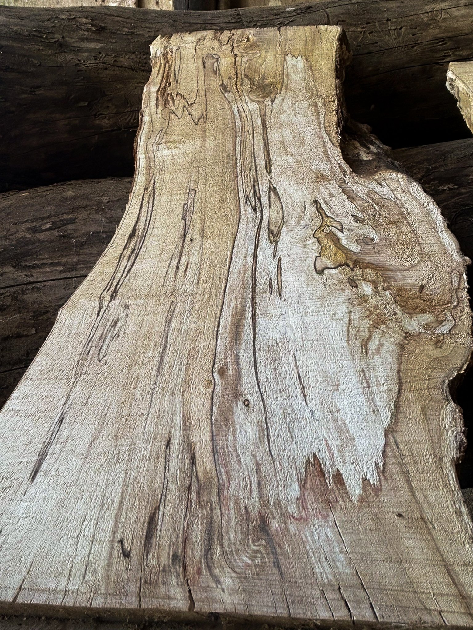 Spalted Silver Birch Boards — 35 × 300–400 × 740mm - Image 3