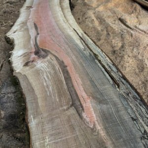 Spalted English Ash Slab — 50 × 300 × 2980mm